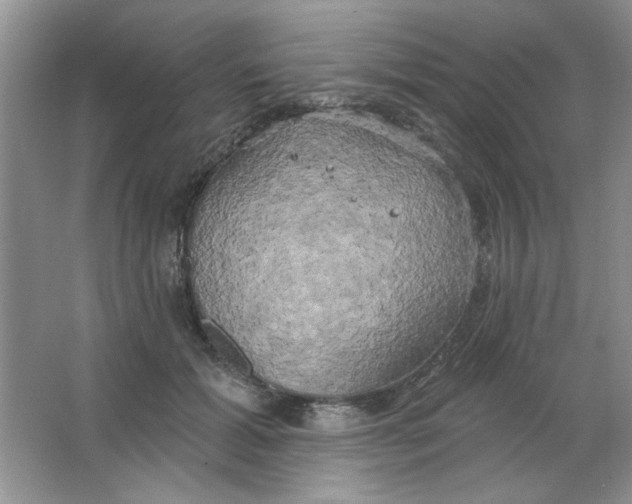 X0000063530605200602102019