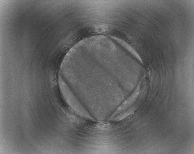 X0000063530606200602102019