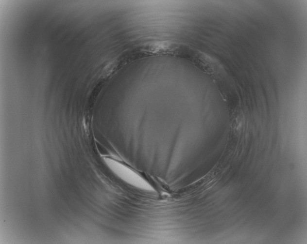 X0000063530607200602102019