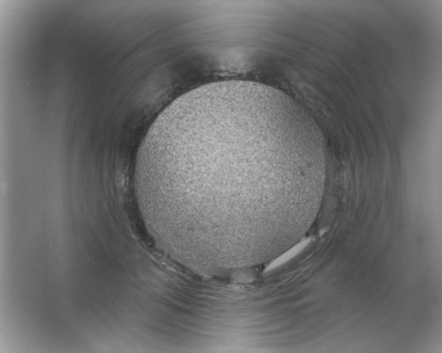 X0000063530608200602102019