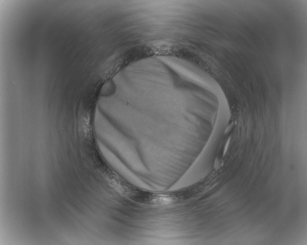 X0000063530610200602102019