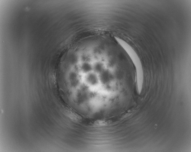 X0000063530613200602102019