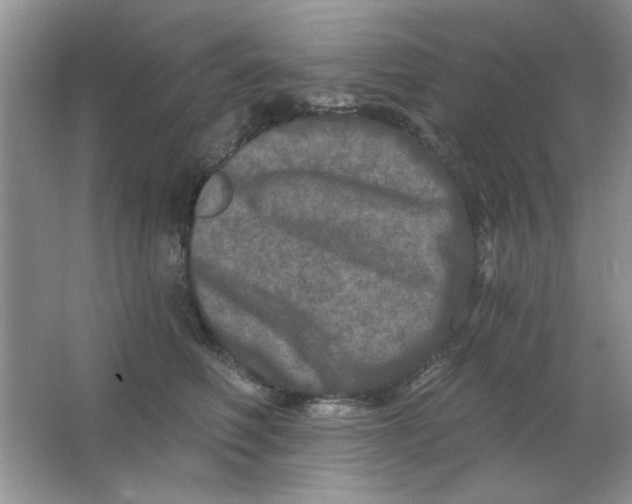 X0000063530614200602102019