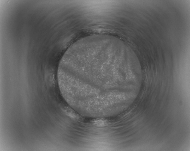 X0000063530615200602102019