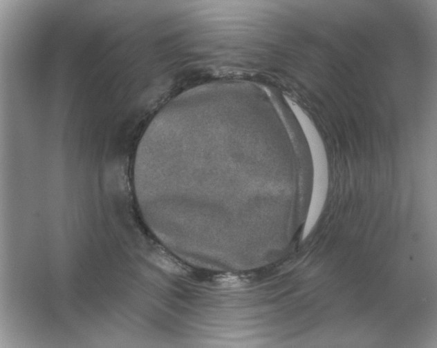 X0000063530616200602102019