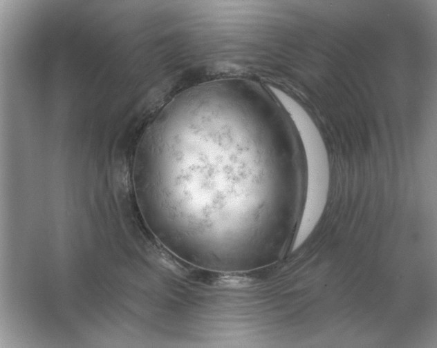 X0000063530617200602102019