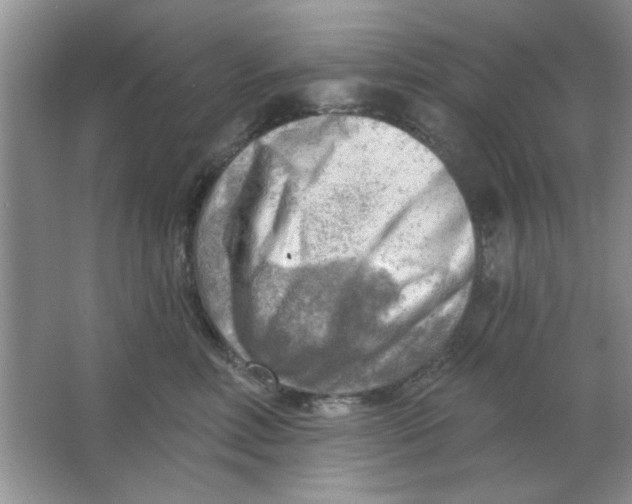 X0000063530618200602102019