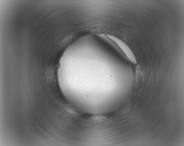 X0000063530619200602102019