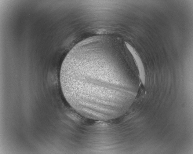 X0000063530620200602102019