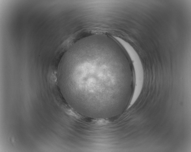 X0000063530621200602102019