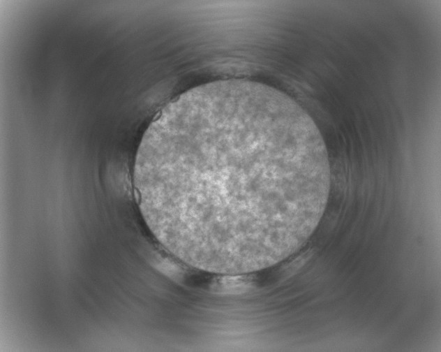 X0000063530622200602102019