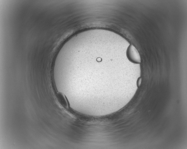 X0000063530625200602102018