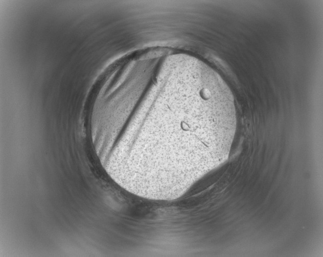 X0000063530628200602102018