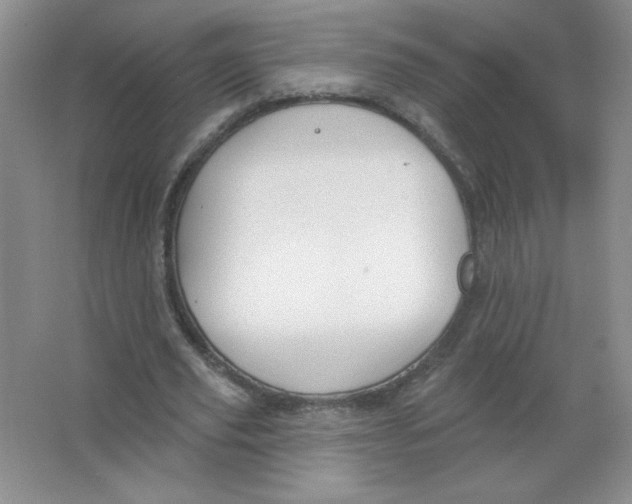 X0000063530629200602102018