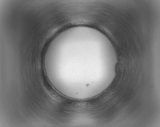 X0000063530631200602102018