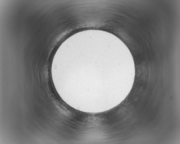 X0000063530632200602102018