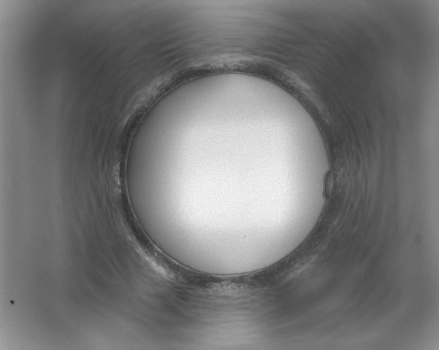 X0000063530633200602102018