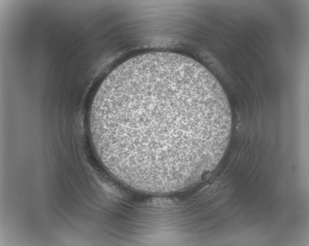 X0000063530636200602102018