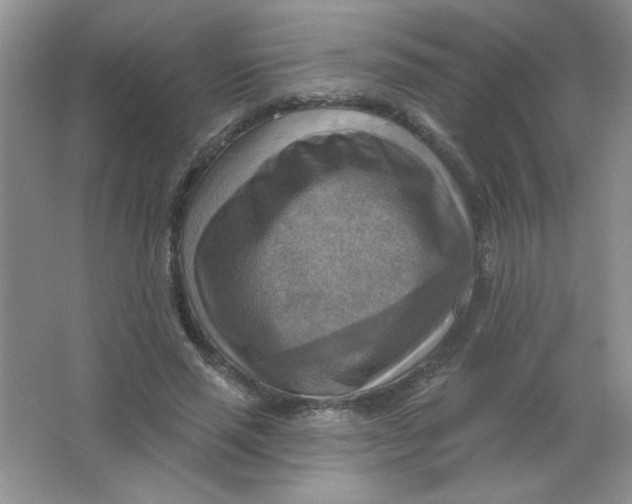 X0000063530637200602102018