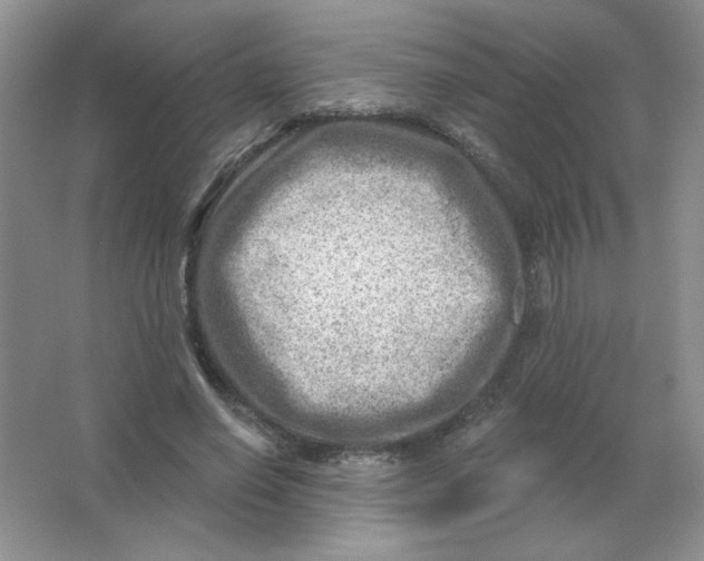 X0000063530638200602102018