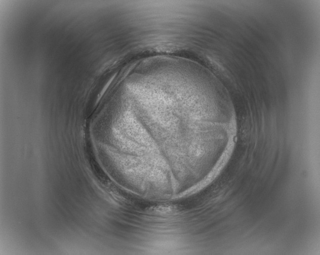 X0000063530639200602102018