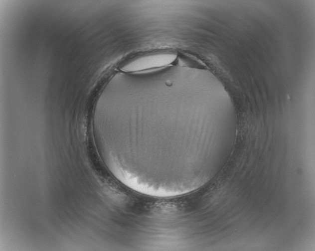 X0000063530640200602102018