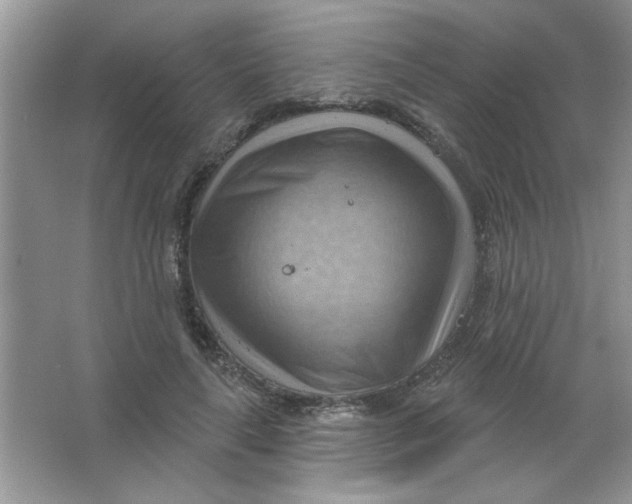 X0000063530643200602102018