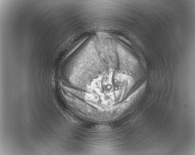 X0000063530644200602102018