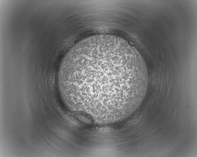 X0000063530645200602102018