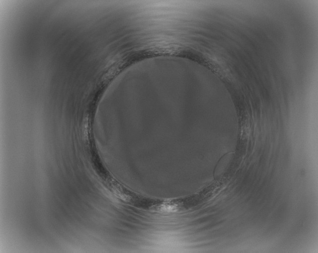 X0000063530647200602102018