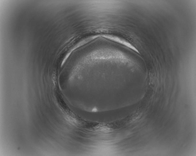 X0000063530648200602102018