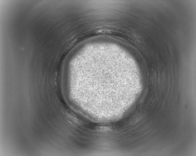 X0000063530649200602102019