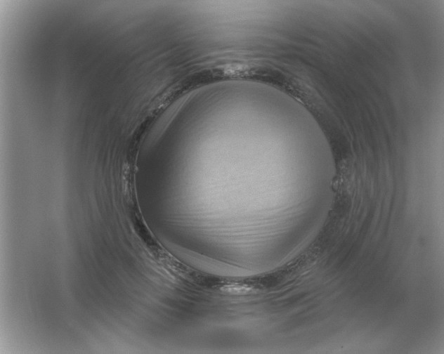 X0000063530650200602102019