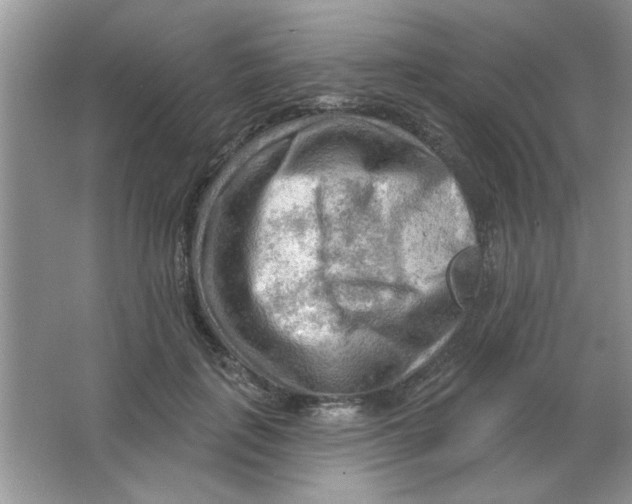 X0000063530651200602102019