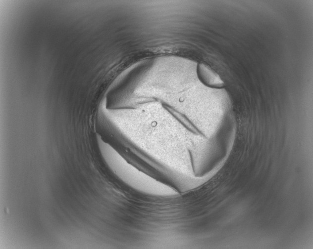 X0000063530652200602102019