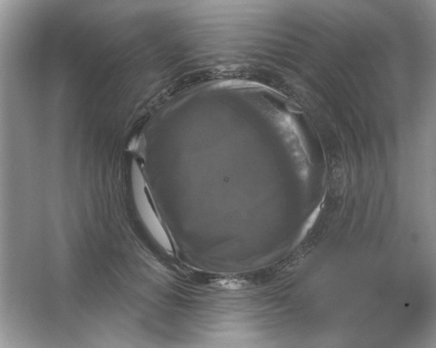 X0000063530654200602102019