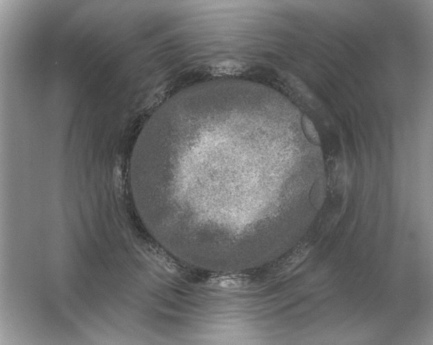 X0000063530655200602102019