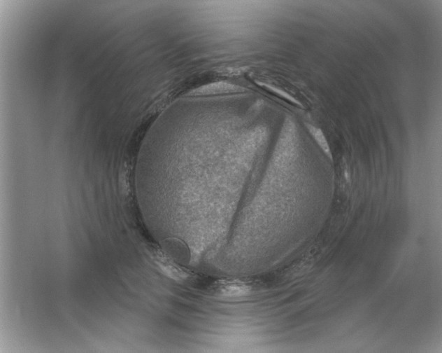 X0000063530658200602102019