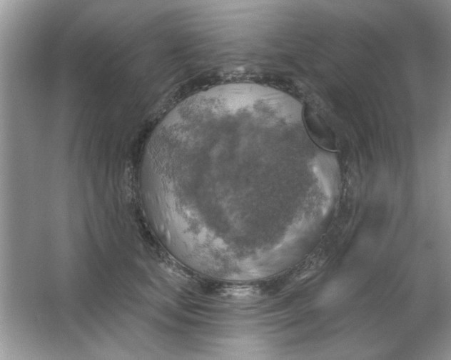 X0000063530659200602102019