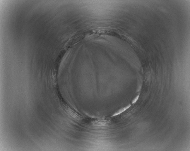 X0000063530661200602102019