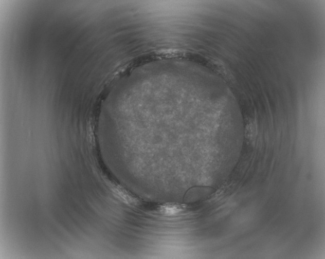 X0000063530662200602102019