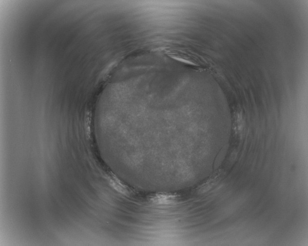 X0000063530664200602102019