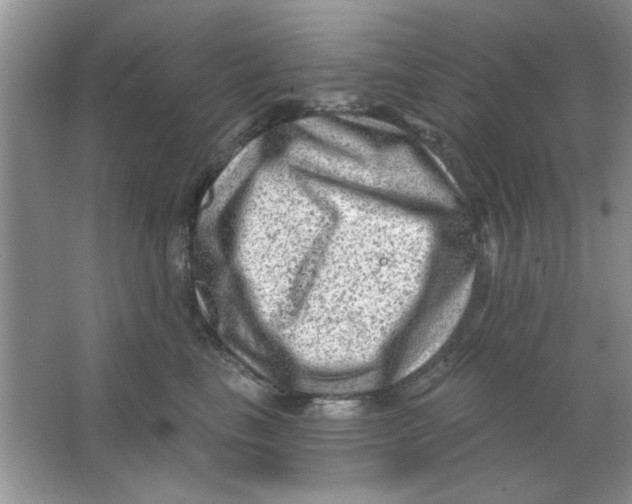 X0000063530665200602102019