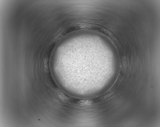 X0000063530667200602102019