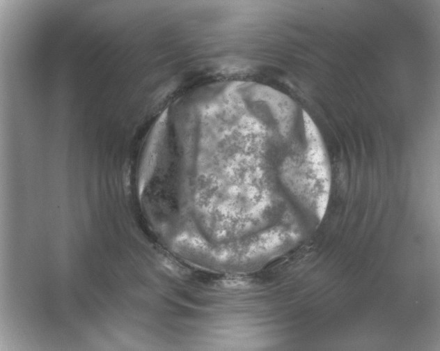 X0000063530668200602102019