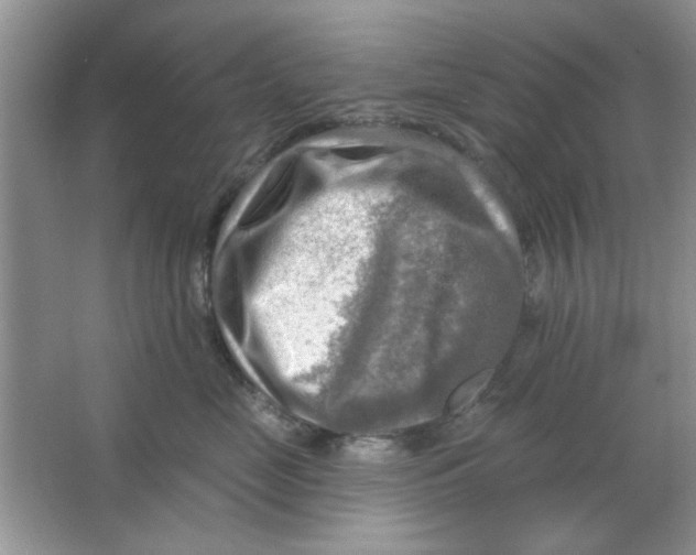 X0000063530669200602102019