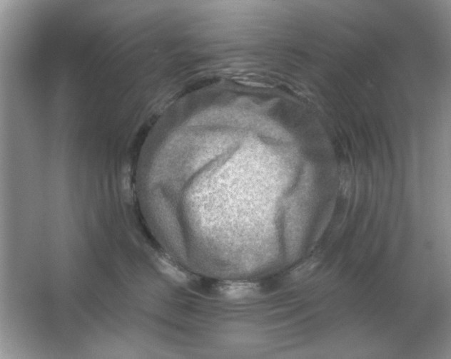 X0000063530670200602102019