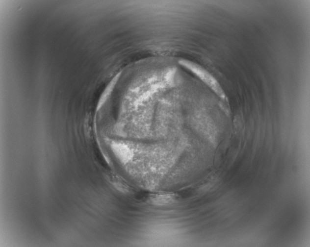 X0000063530671200602102019