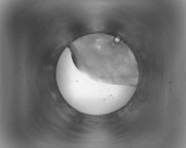 X0000063530672200602102019