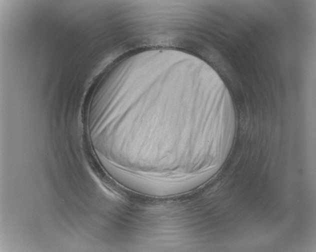 X0000063530674200602102018